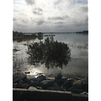 Gloucester King Tide image